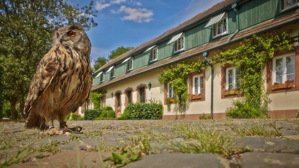 Der Linslerhof - Hotel, Restaurant, Events & Natur Überherrn Exterior foto